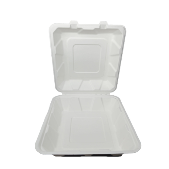 Lunch Box Biodegradable 9 x 9, 200 PCS, صندوق غداء قابل للتحلل الحيوي